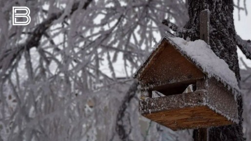 � ����� ������ ���� �������� ����������� � ���������� ������� ����� ������� ������� -26�