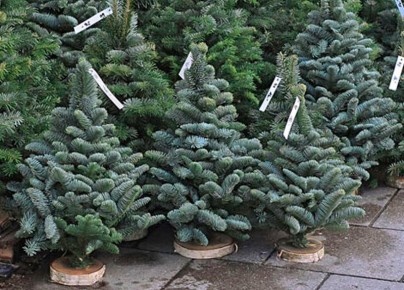 ������ �������� ������ ������������ ����� ������� � ��� ������ �����?