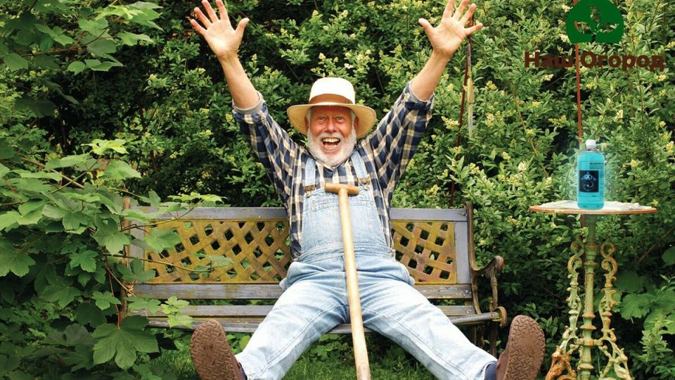 Пенсионерам предложат оформить дачные участки без налоговых поборов