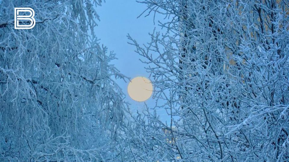 ������� � ������ ���������� ������� ���� ������������ �� ���������� ��� ������������ � ������� ������