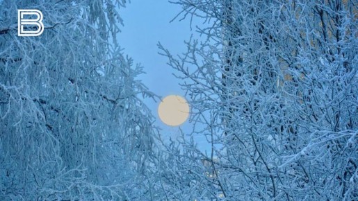 Жителям и гостям Мурманской области дали рекомендации по соблюдению мер безопасности в сильные холода