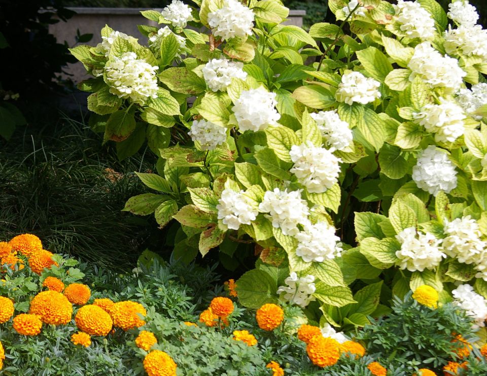 ��� ������ ���������: ����� ������������� �������� � �� �������