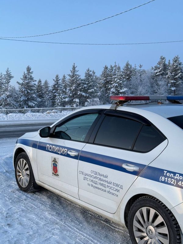 ������� ������ ���������, ������������ ������ � ������ ���� �� ����� � ������ ����� ������ �������