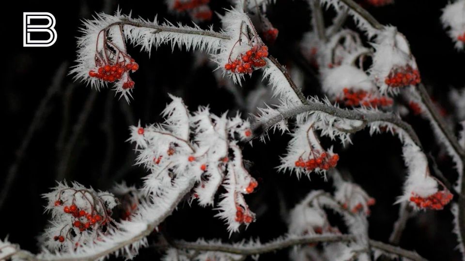 �� ������ ����������� ����, 6 ������ � �������� ��������� ��������� ���������� ����������