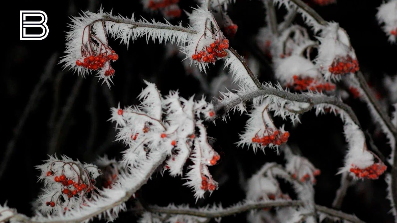 По данным Мурманского УГМС, 6 января в Кольском Заполярье ожидается переменная облачность