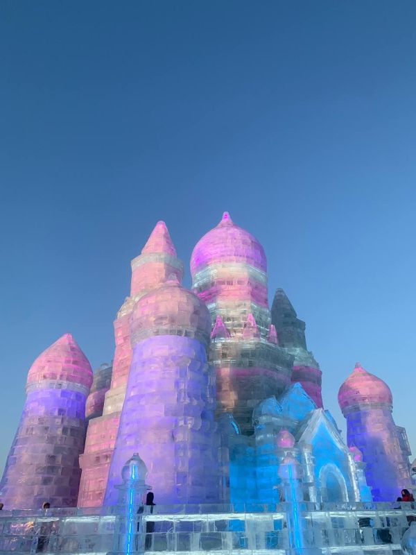 5 ������ ���������� ��������� �������� 42-�� ����������� �������������� ��������� ����� � ���� � �������� � ����� � ��������� � ������� ������ ���������� �����������, ����������� ������� ���������, �������� � �������