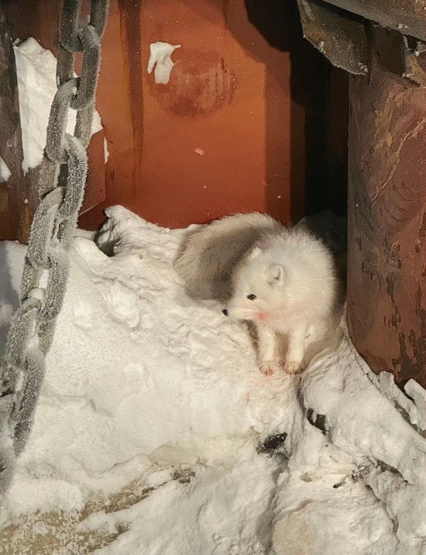 ������ ����� ���������������� ���������� ��������