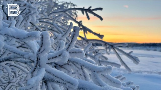 � ���������� ������� 8 ������ �� �������� �����