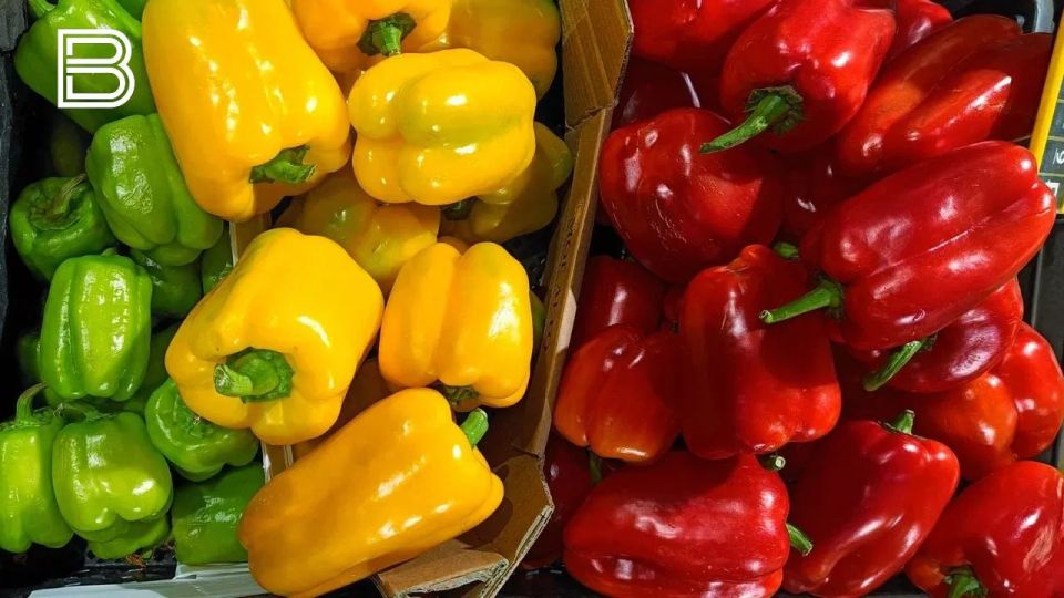 �������� ���������� ������� �������� � ������ ��������� ������ �������