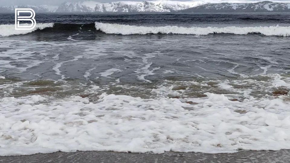 � �������� ������ ���������� ����� ���������� ����� � ����