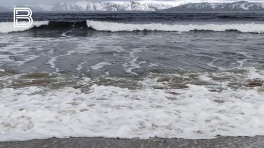 � �������� ������ ���������� ����� ���������� ����� � ����