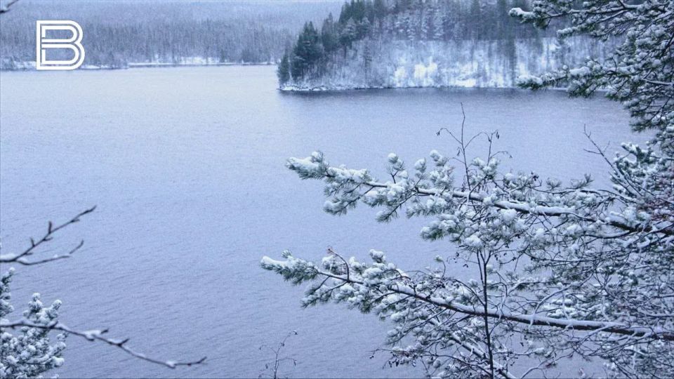 �� ������ ����������� ��������������, 9 ������ � ������� ���������� ������� ������