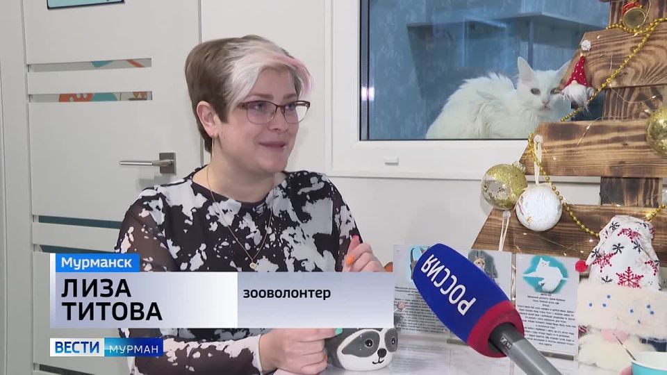 ������ �� �����, ������� ������: �� ��� ������ ������� � ������� �������� "��������" ��� ������ 29 ����������