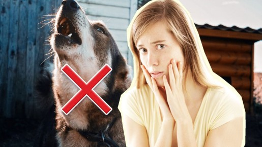 ���������� ����� � ����� ���� ������� ��������: �� ����������� �������� �������� �������