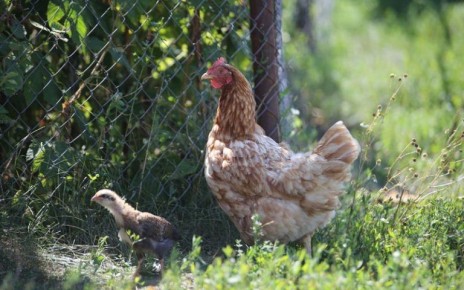 ������� ����� ��� ������ ���������: ��� ������������ ���������