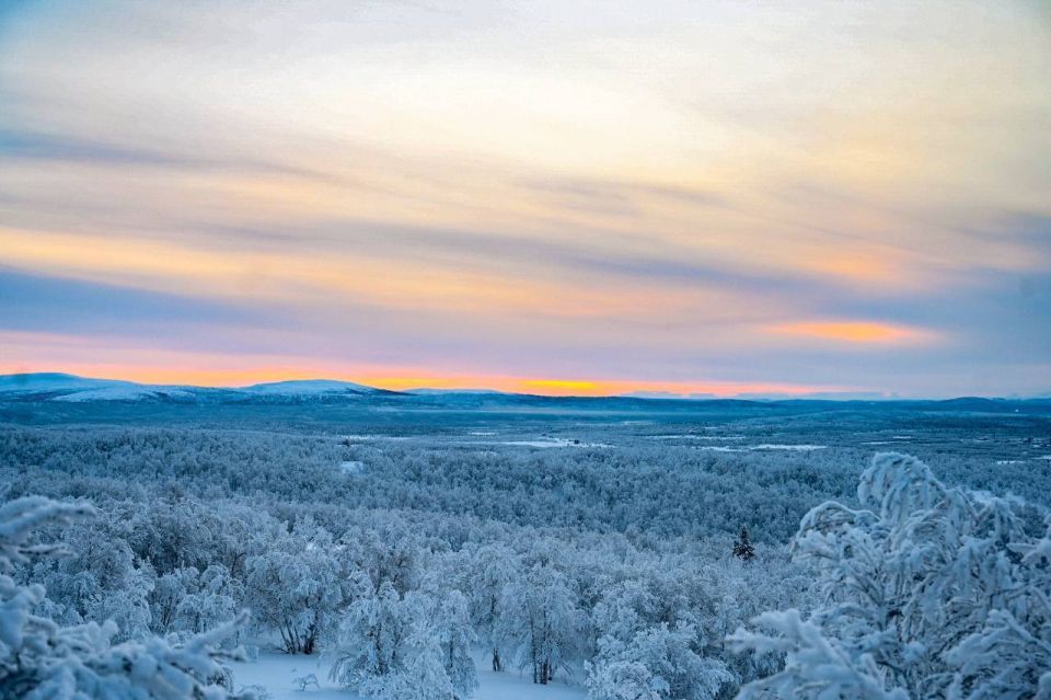 ������ ��������� ��������� ������ ������� ����� 40-������� �������� ����