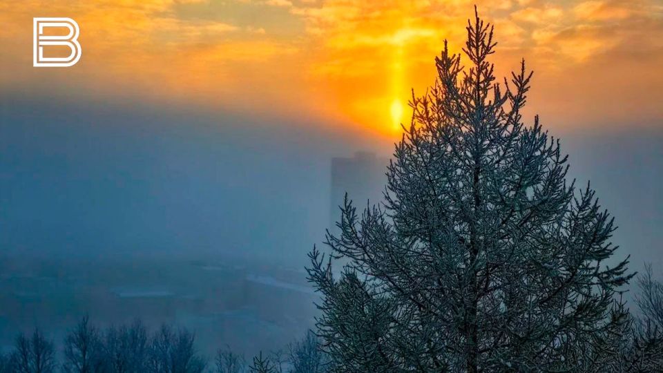 ������������� ����� 12 ������ �������� � ����� ��� 20 ������ ���������� �������