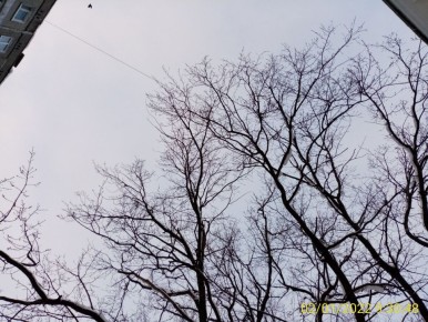 Народные приметы о погоде: проверяем предсказания на новый год