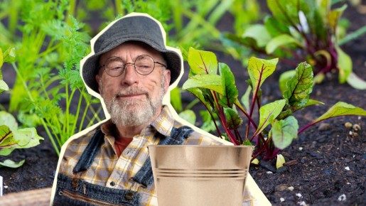 Свекла будет слаще, чем у соседей: вот что с ней делают опытные дачники