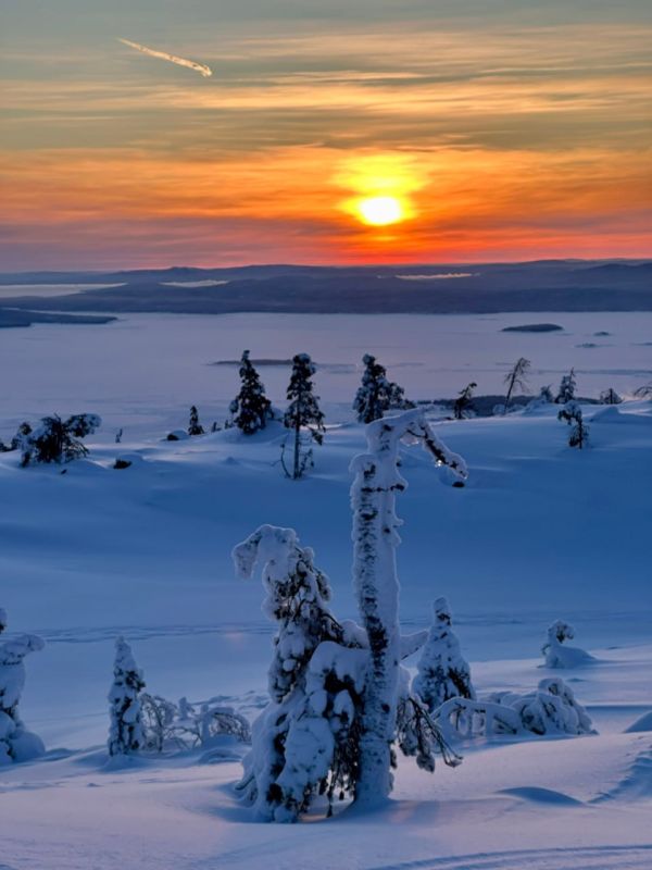 ������ ����, ���������!. ������ ��� ������ � �������������� �������� � ������� ��������� ���� � ���������� ������� �� �������� ��������� ���������� ����������