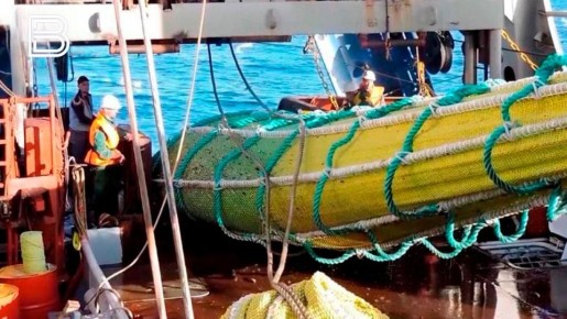 ���� ������� ��������� �������� � ������ 2026 ���� �������� 8,8 ���