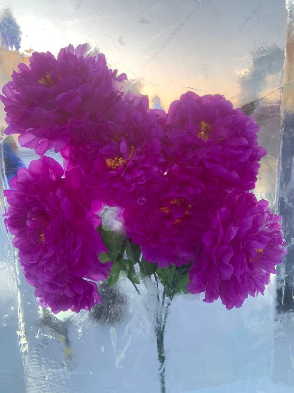 5 января состоялась церемония открытия 42-го Харбинского международного фестиваля снега и льда — главного в Китае и входящего в мировую тройку крупнейших мероприятий, посвященных зимнему искусству, культуре и туризму 5 января состоялась церемония открытия 42-го Харбинского международного фестиваля снега и льда — главного в Китае и входящего в мировую тройку крупнейших мероприятий, посвященных зимнему искусству, культуре и туризму