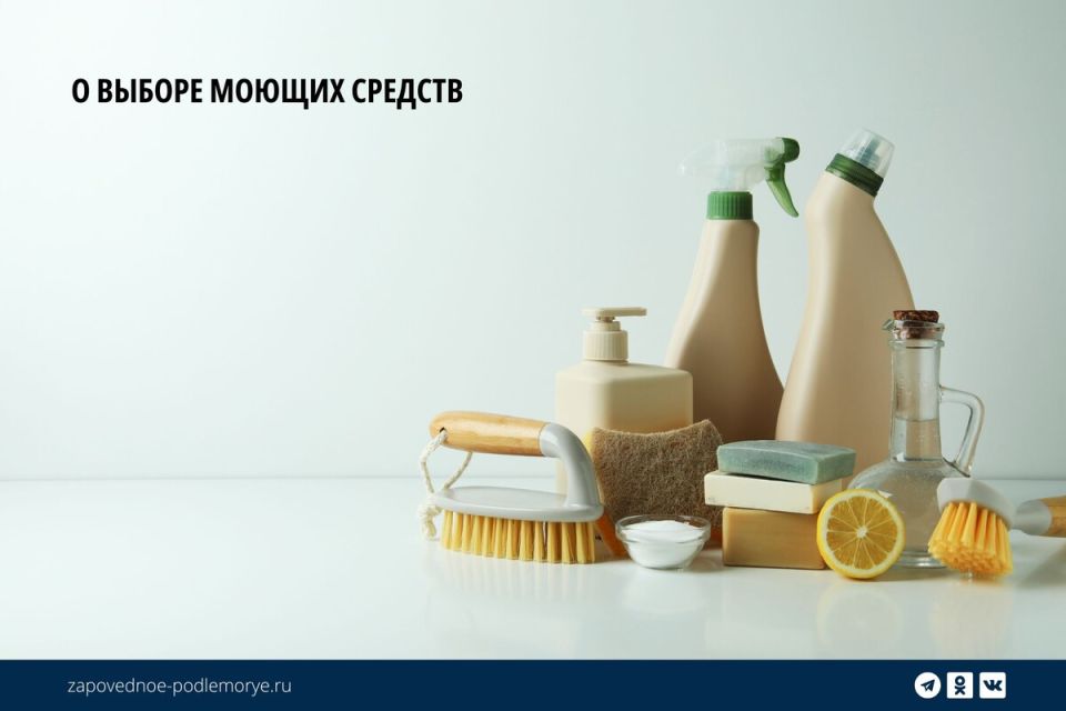 Как биоразлагаемые моющие средства могут навредить уникальному Байкалу