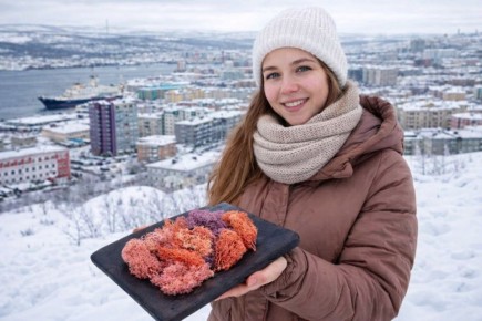 �������� �����: �������� ��������� � ����������