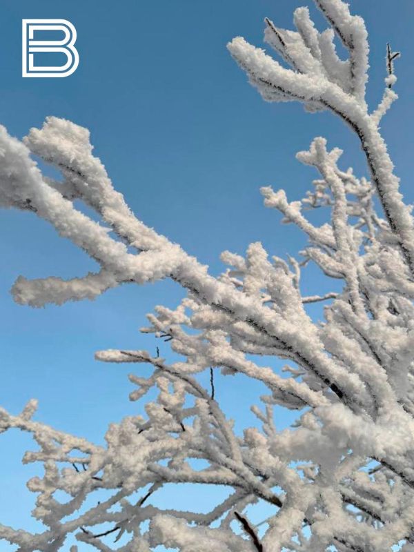 �� ������ ����������� ��������������, 14 ������ � �������� ��������� ��������� ���������� ����������, ������� � ��������� ����, �����, ��������