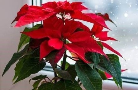 ����������: �������������� ������ � �������� �����