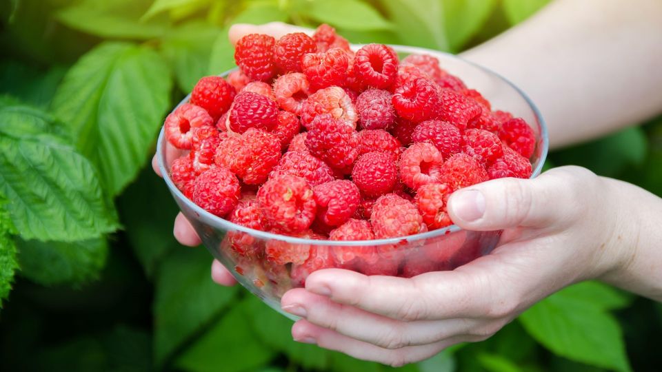 �� ��������������: ��� �������� �������� ������� ������ �� ������ � ���� ����� ������