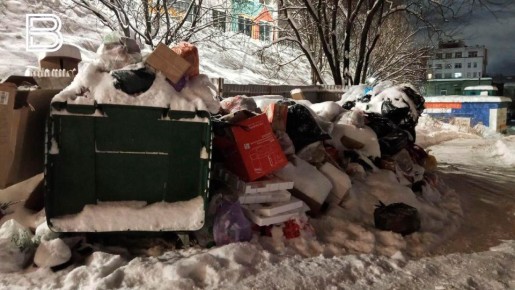 Прокуратура внесла представление в адрес руководителя регоператора из-за невывоза мусора в Мурманской области