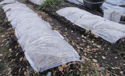 ��� ��������� ������ �������: ������ �� ������ �� �������