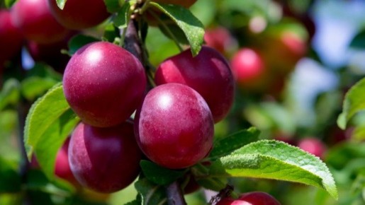 ��� ����������� ������ � ����� �� ������ ��������� ������ � ��� ����