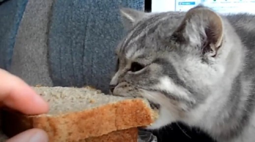 ��� ����� ����� � ���, ����� �� ���� ���� ����: ������ ���������