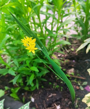 ��� ������� ���� �������� ����� ������: ������������ ������� ��������