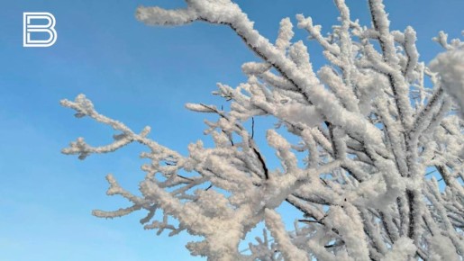 � ���������� ������� 19 ������ ��������� ��������� ����