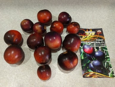 ������������ ������ ������ ���������: ���� ���� �������� F1