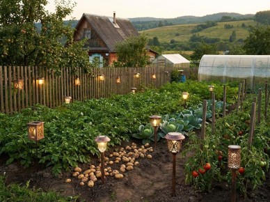 ��������������� �������: ��� ����� ���������� ������ ����� � ���������� ������