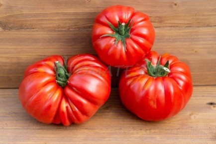 �������� �� �����: ��������� ���� ������� ����������� ����� ������