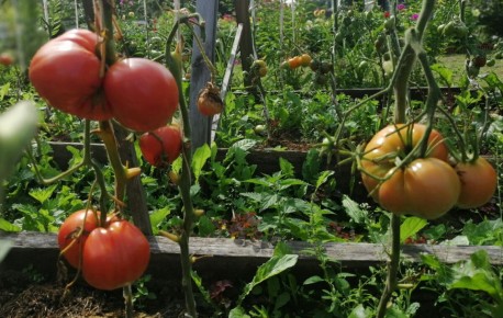 ������ ��� �������: ������ 2026 ���� � �������� ��������