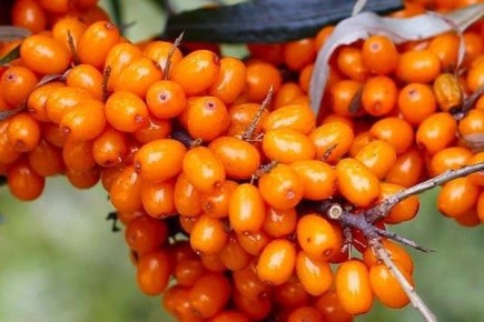 �������� ���������: ������� ������� ������� � �������� �����