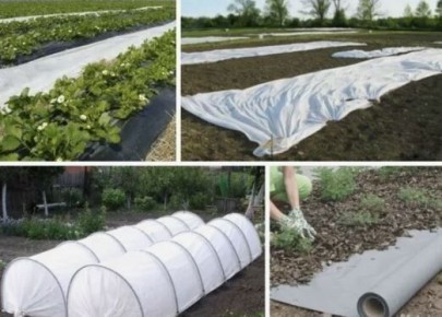 ��� ������� ��������� �������� ��������: ��������, �������� � ����������� �� ������ � �����������