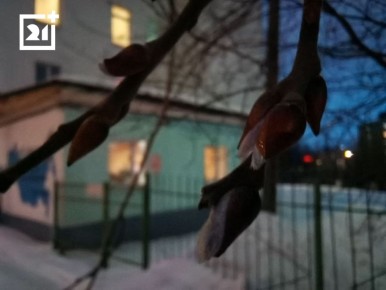 � ��������� ������������ �����