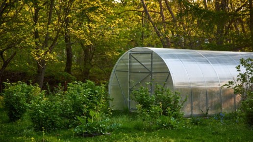 ��� �������� ��������� � ������� ��������� ������ � ��� ����