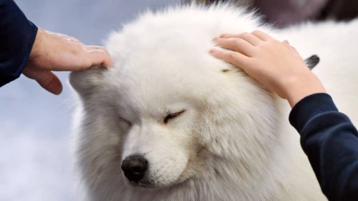 ������ ������ ����� ����� � �������� ��������: ��������� ����� ����� ���������������