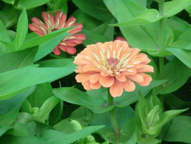 ���� � ����� ������������ ��� ���������