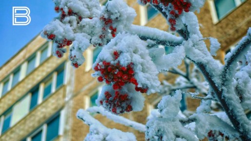 ��������� ���� � ��������� ����� ��������� � ���������� ������� 21 ������