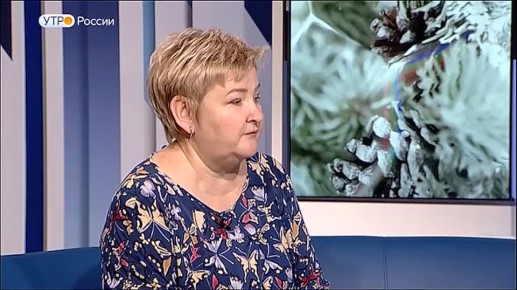 "���� ������": ������ ���� � ��������� � �������� ���������������� � ���������� �������