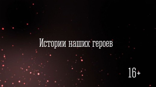 «Вы делаете не просто работу»: Андрей Чибис поблагодарил мурманчанку Анастасию Минину за видеопроект «Истории наших героев»